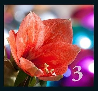 Adventstüren 03